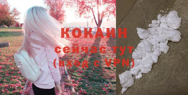 бошки Верхний Тагил