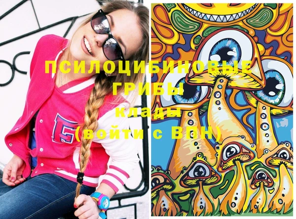 бошки Верхний Тагил